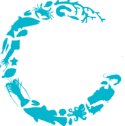 Pearsons | High Quality Canadian Seafood